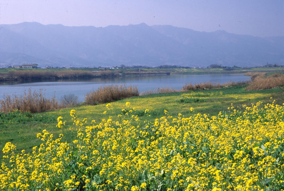 筑後川と耳納連山　（久留米市）