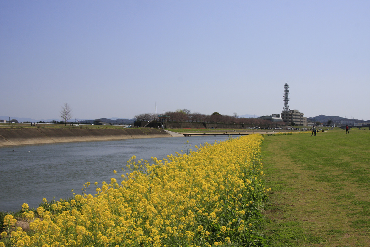 遠賀川河川敷　（直方市）