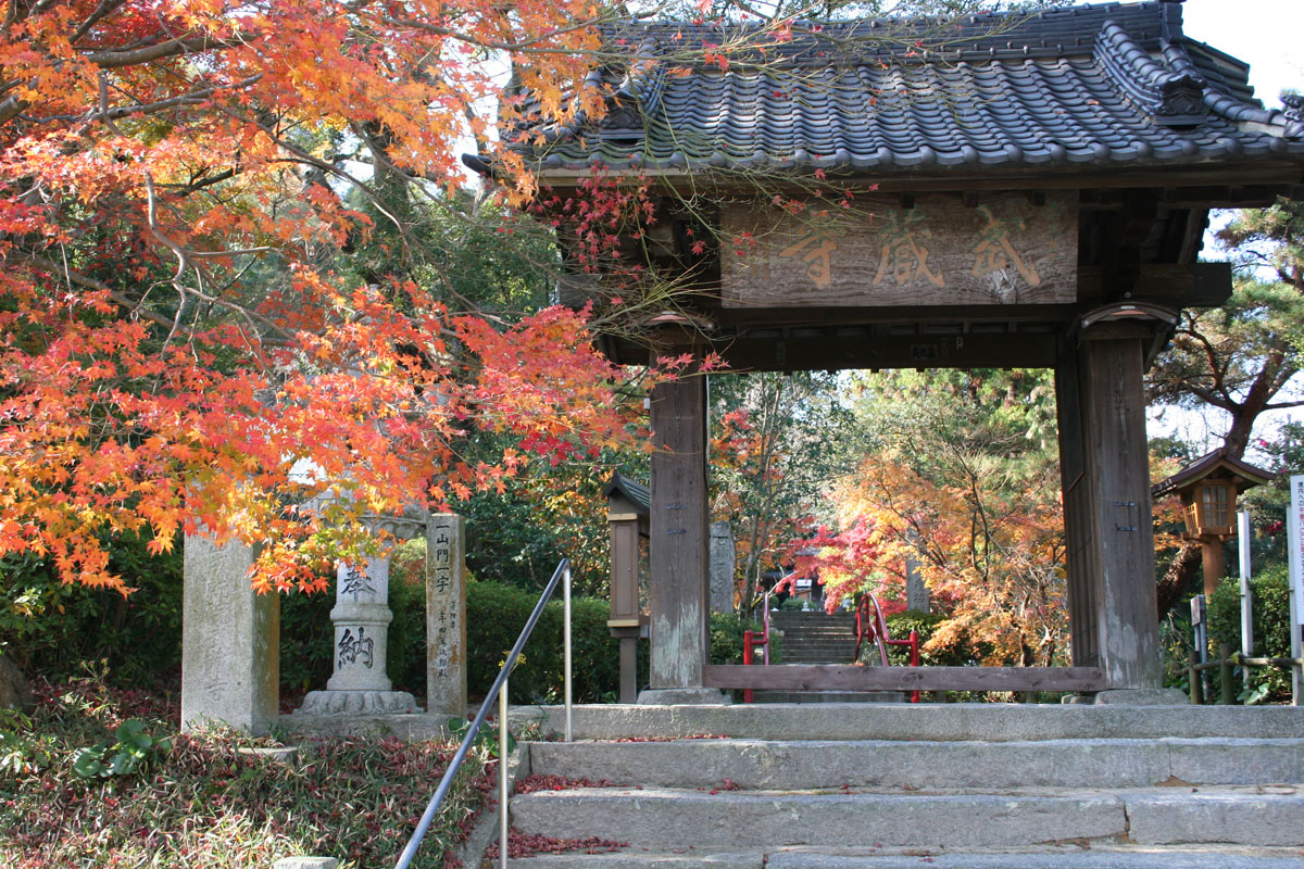 武蔵寺紅葉　（筑紫野市）