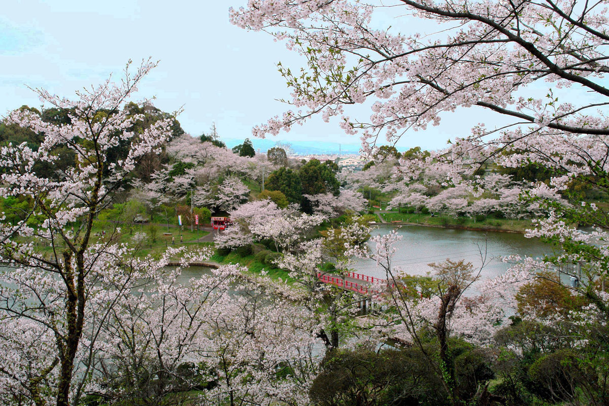 春の甘木公園　（朝倉市）