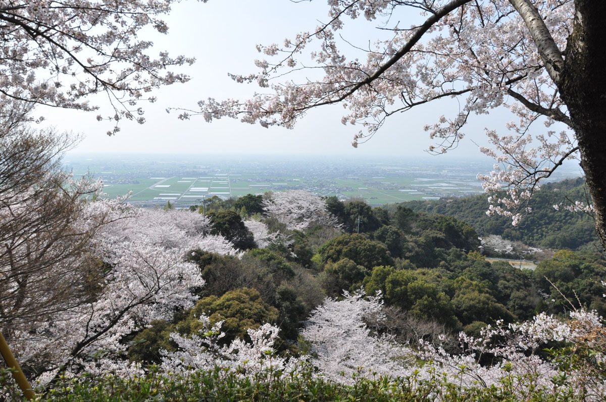 清水山からの眺望　（みやま市）