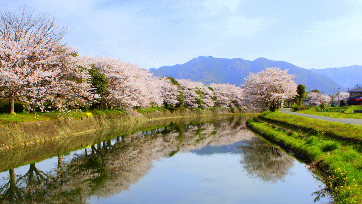 猪野川と遠見岳　（久山町）