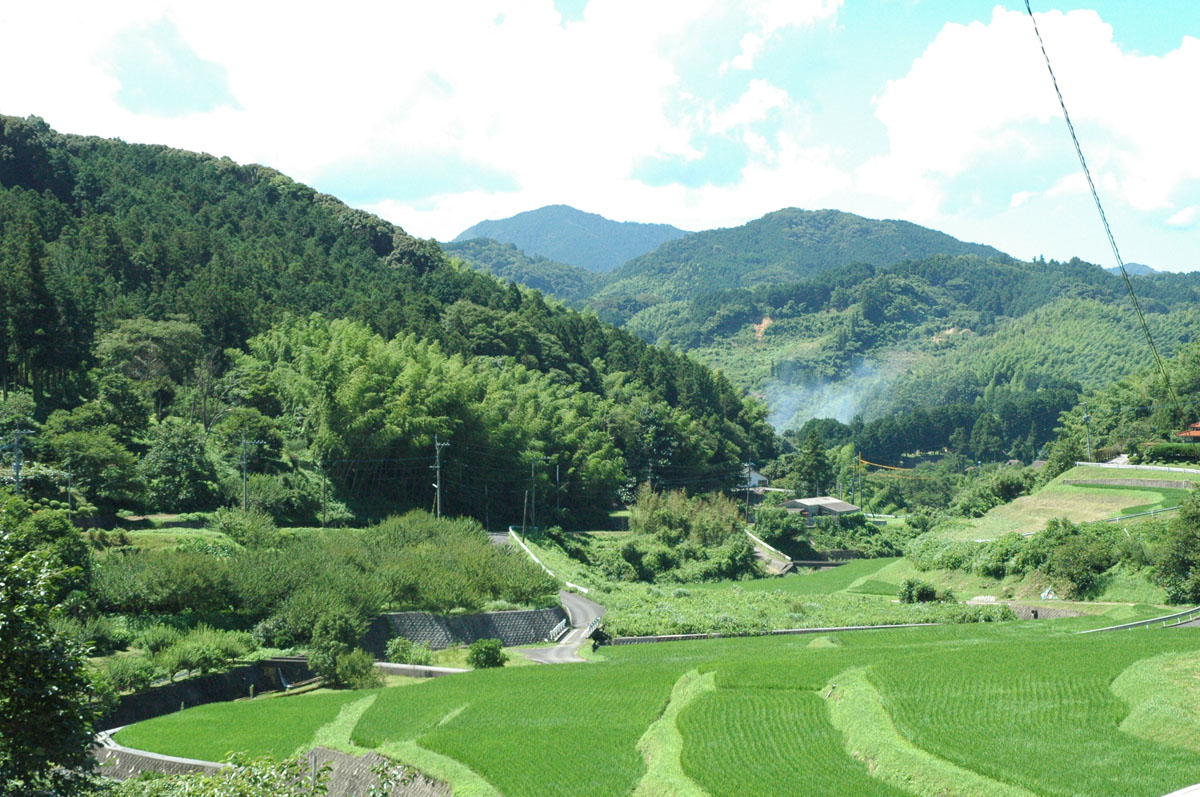 棚田風景（見取地区）　（赤村）