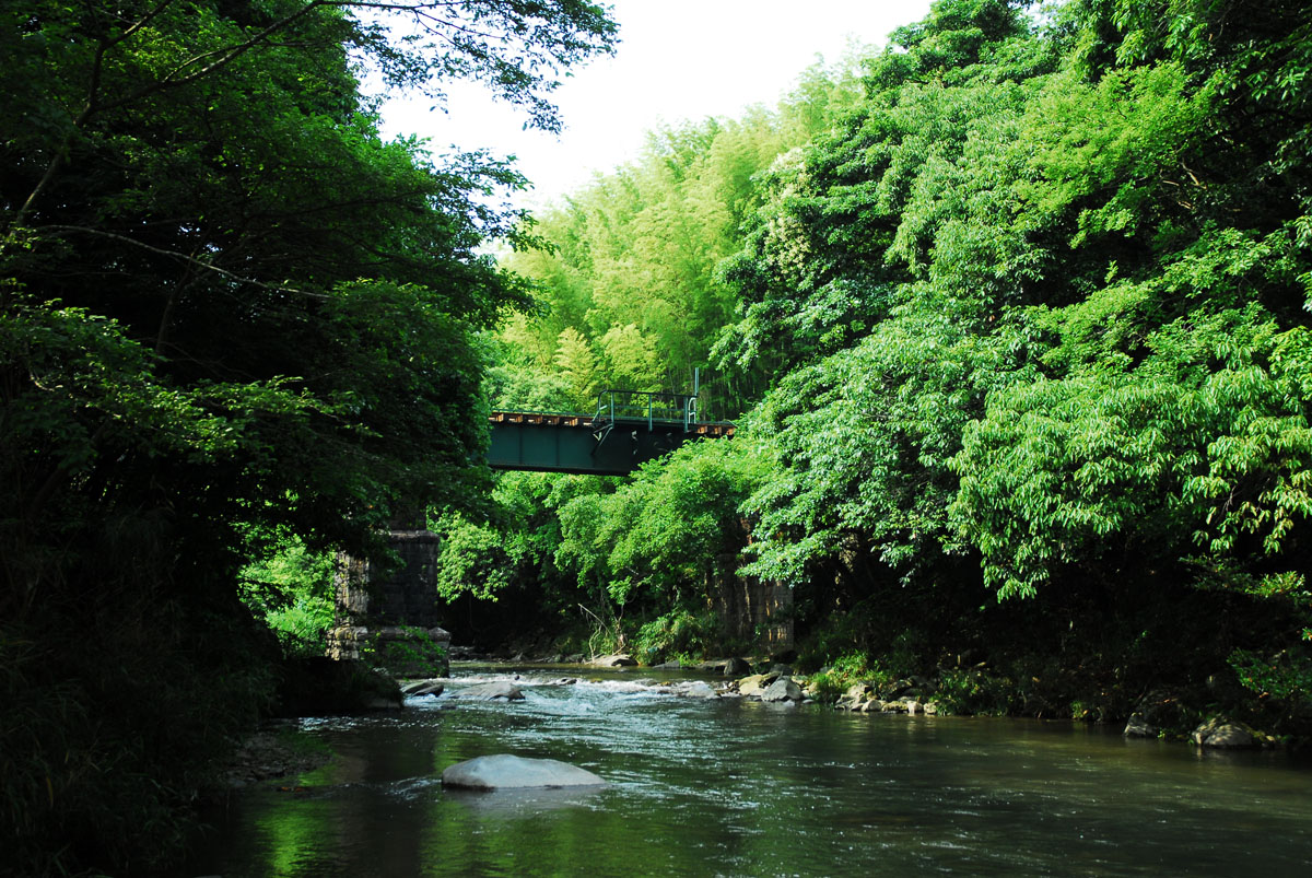 赤村の清流（源じいの森）　（赤村）