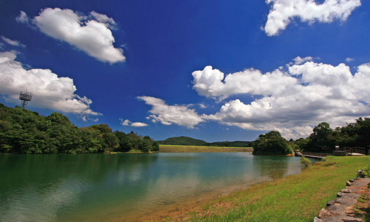 本庄池の夏　（みやこ町）