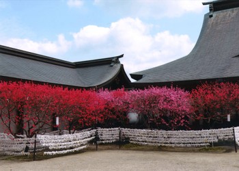 Nogata City