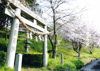 Koge Town