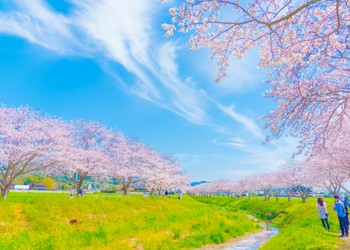 Chikuzen Town