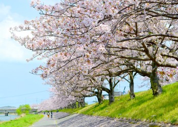Yukuhashi City